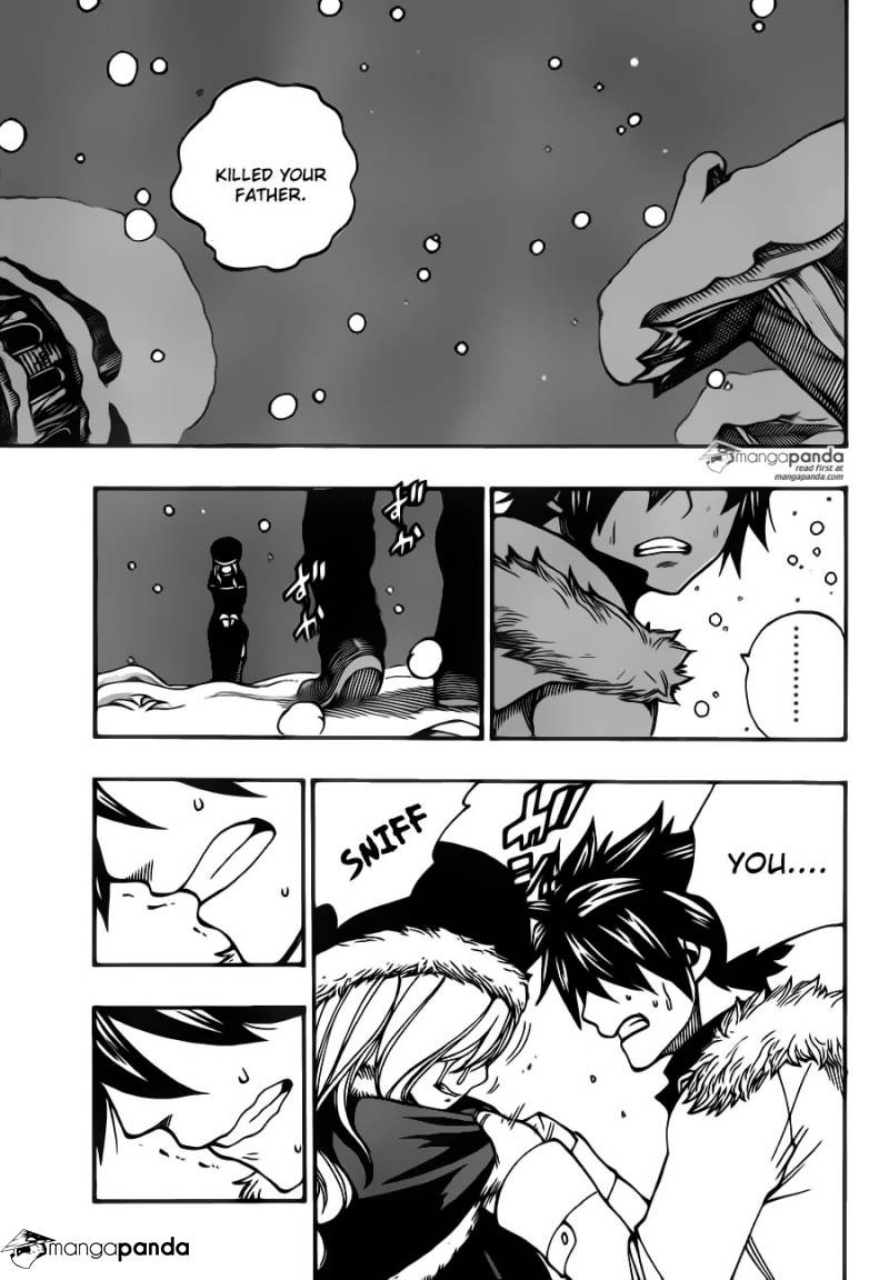 Fairy Tail Chapter 416 13